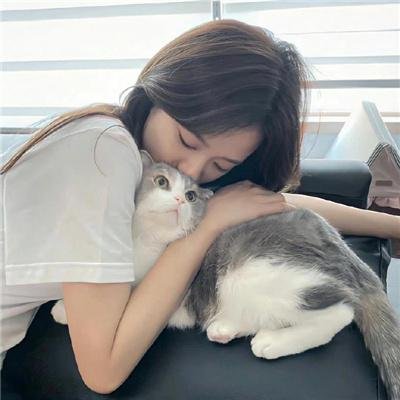 最佳伙伴