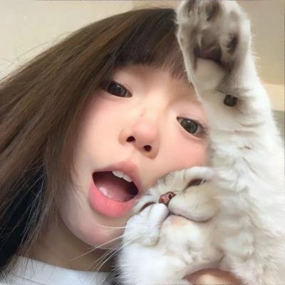岛屿协奏曲