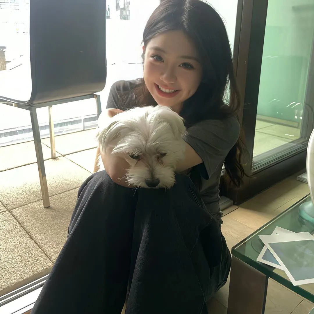 我的天才女友 第三季
